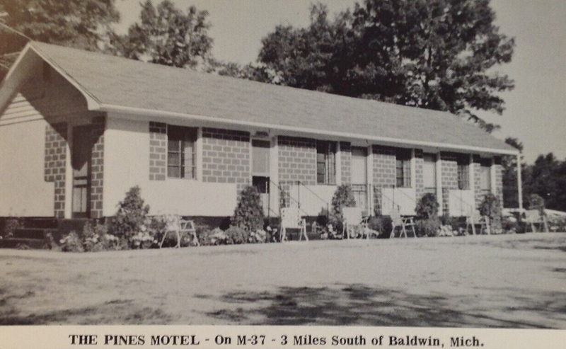 Motel BBT (Pines Motel) - Vintage Postcard